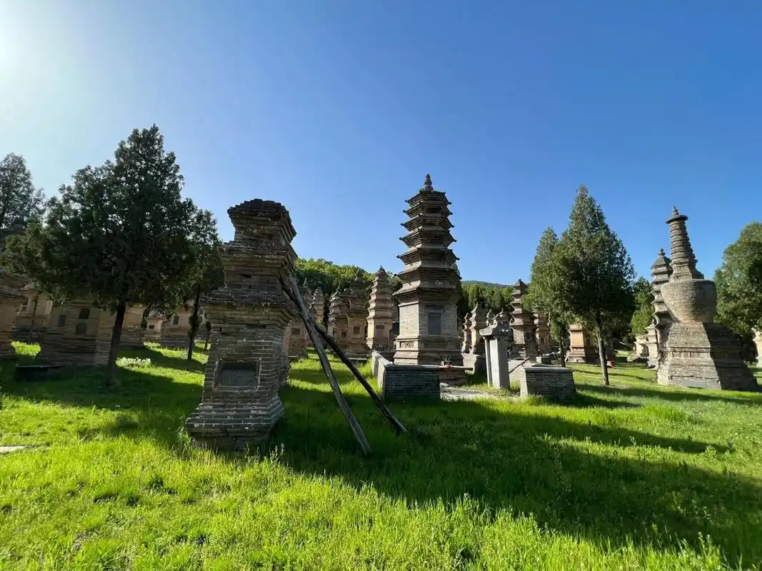 少林寺塔林是什么 小时候看电影《少林寺》,就记得在塔林里博斗的场景