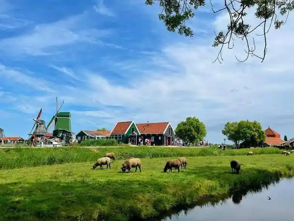 从荷兰回来说几句实话带你看看真实的荷兰