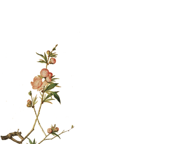 古风免抠素材12月原图均来自网络侵删歉禁商用┋笔墨书香┋古风圈古韵