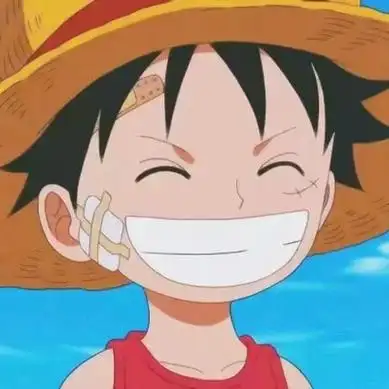 路飞头像可爱的图片大全 可爱的海贼王头像高清路飞图片_动漫头像_美