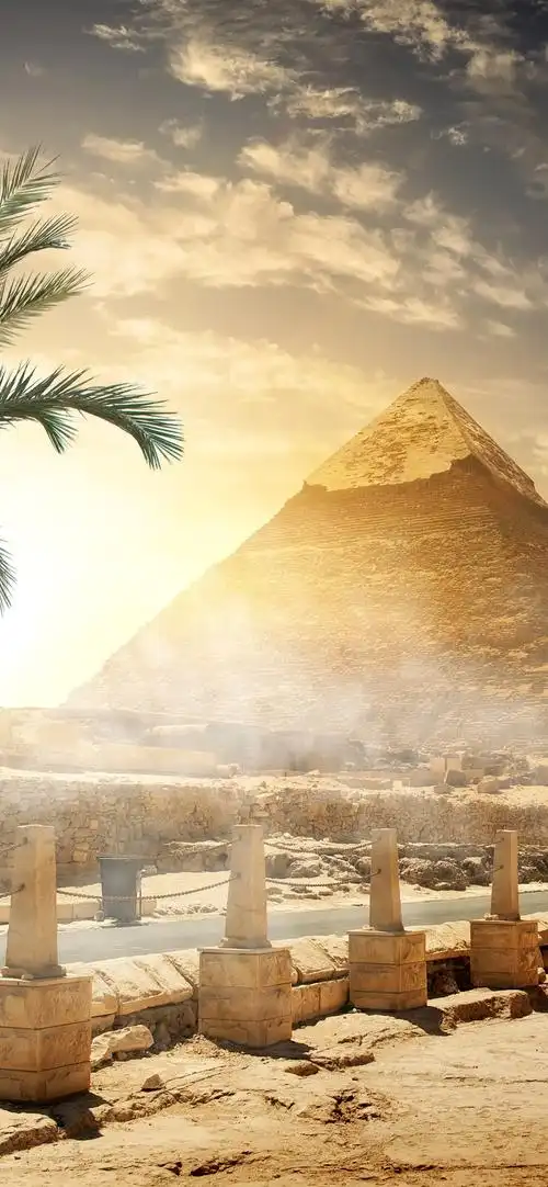 金字塔,栅栏,树木 1242x2688 iphone 11 pro/xs max 壁纸,图片,背景