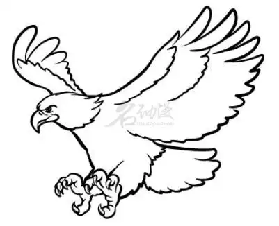 怎样画老鹰