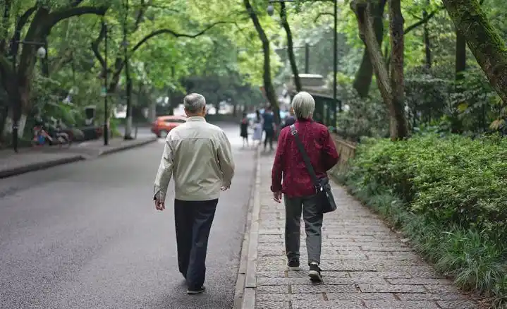 爷爷每天都带着老年痴呆的老伴散步