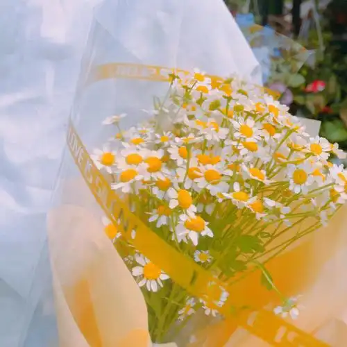 初夏时干净的白衬衫和满目温柔的花