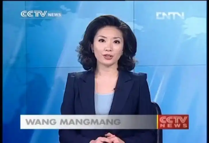 cctv news《整点新闻》op ed 2013-3-24