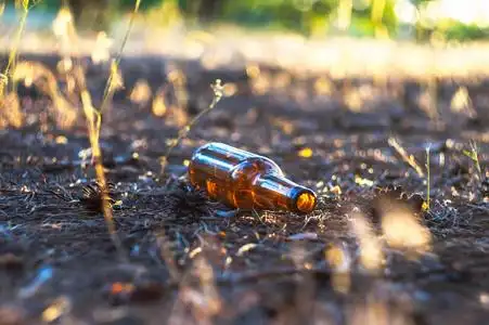 一个肮脏的空啤酒瓶躺在松林的地上. 环境污染.照片