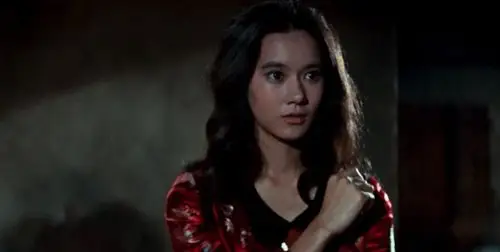 《猛龙过江》苗可秀 李小龙虽然没有对外所谓的"李家班",但他的作品