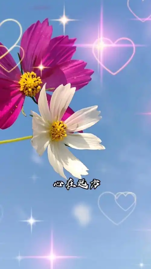 心在远方,摇摇荡荡