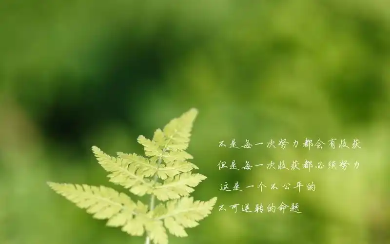 心灵语录文字壁纸59