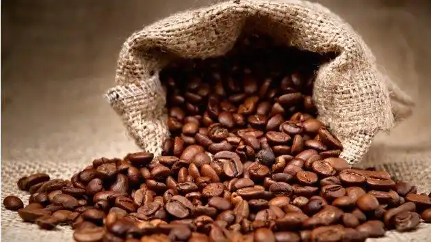 7 things to remember when choosing coffee beans