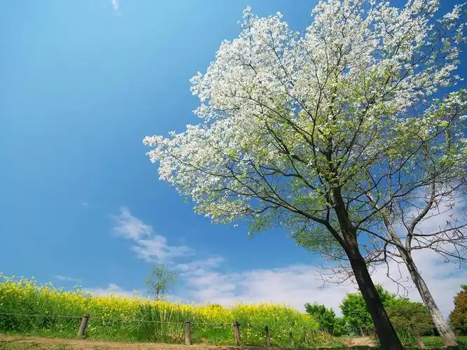 太美了,133张电脑全屏高清壁纸大图,非常值得大家阅览