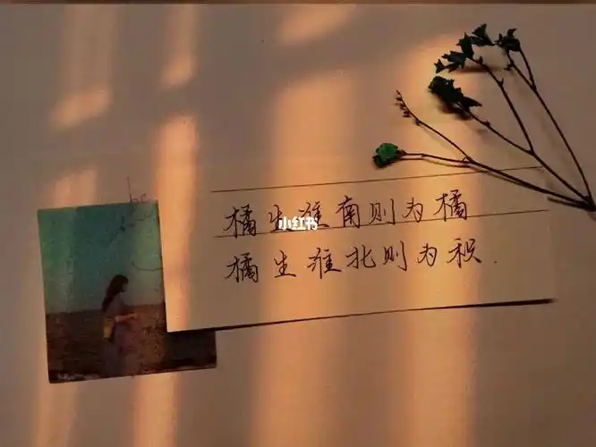 橘生淮南则为橘生于淮北则为枳