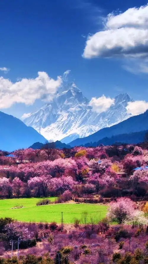 1080_1919竖版 竖屏