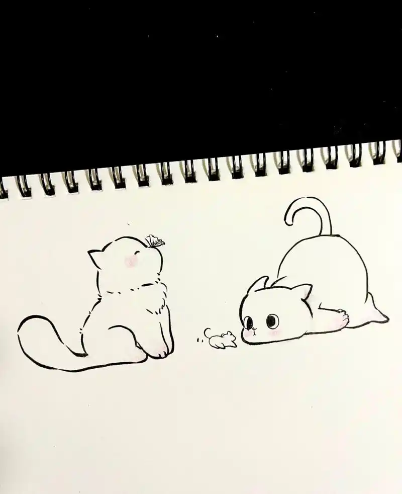 敲可爱猫咪简笔画|被可爱治愈了|内附细节 想做你枕边书,怀中猫,心上