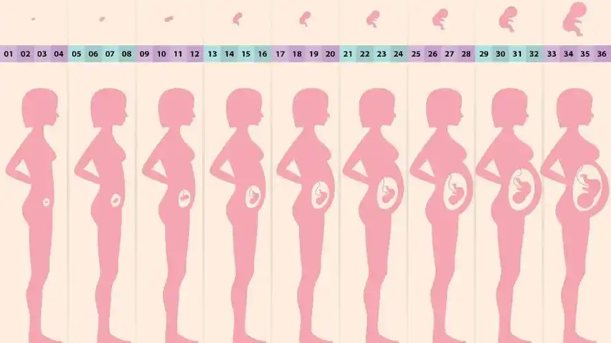 1024_576gif 动态图 动图