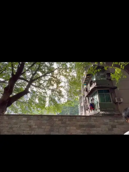 老城 故事老人 孩童秋风 落叶猫狗 咖啡#风犬少年的天空取景地  #重庆