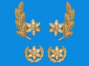 说的是这个吧,专业技术军官和专业技术文职干部佩戴原子图案领花