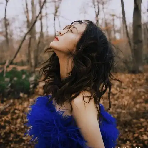 微信头像张钧甯