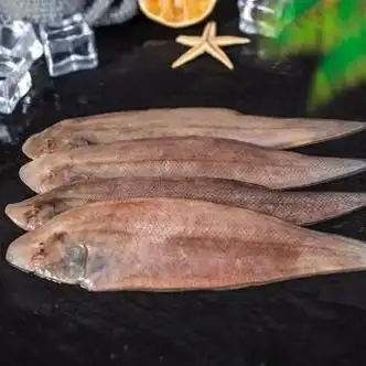 斓优森龙利鱼海捕批发鱼舌头鱼龙舌鱼鳎目鱼鱼柳踏板舌鳎鱼 1000g 大