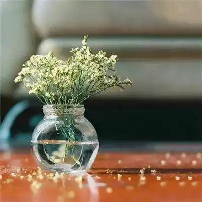 适合50岁女人微信头像