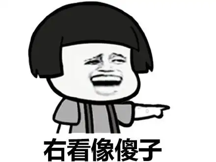 右看像傻子 - 我左看右看,上看下看,看来看去,你就是个傻逼_表情头牌