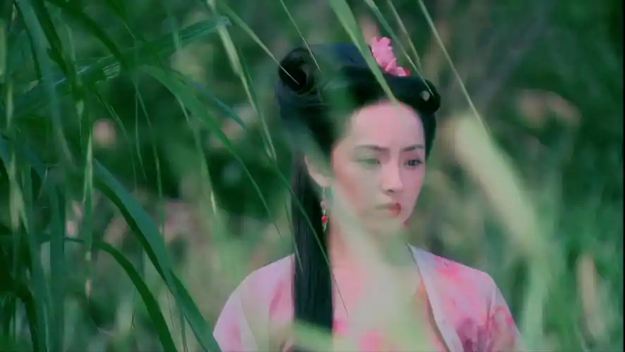 【刘晓洁72万玉枝】痴心情长剑斩不断_哔哩哔哩_bilibili