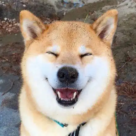 你脸上就写着两个字 欠揍 - 你不去演戏可惜了 瞧你演的傻逼多像