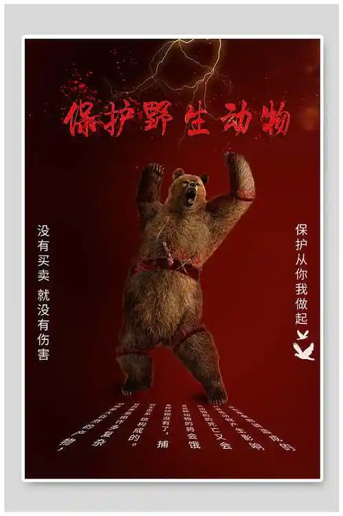 保护野生动物爱心慈善海报