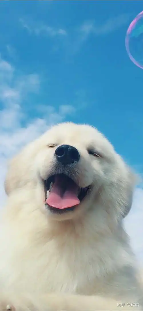 大家的屏保都是啥样的呢?