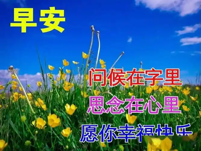 最新早上好动态表情包免打字早晨好美图大全