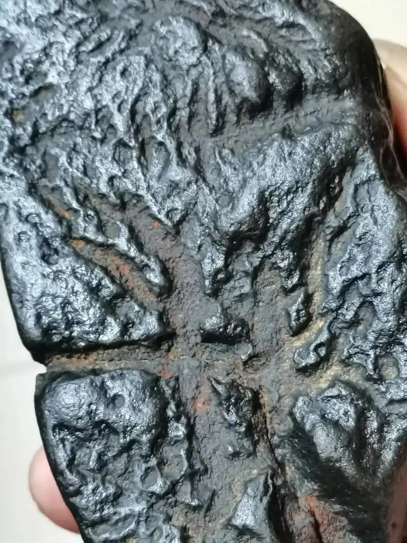 陨石科普 精品石陨石,碳质陨石#好物推荐97 #以石会友  - 抖音