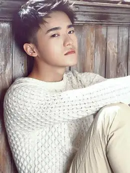 王珞嘉电视剧作品