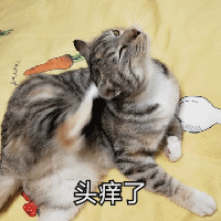 头痒了,挠挠头