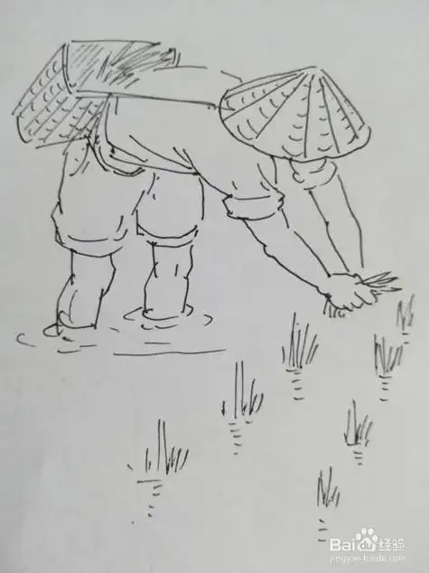 农民收割谷子简笔画