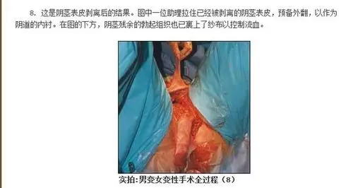 男生变女生不是指变性是指全身变成女生.