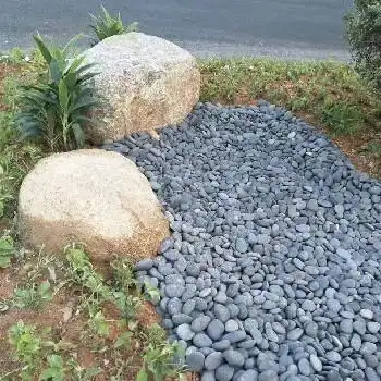 灰黑色鹅卵石图片园林鹅卵石造景庭院鹅卵石铺路