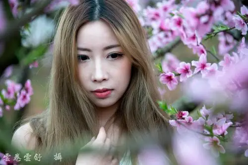 旅游] 娇女折花倚桃边-------年会作业之一