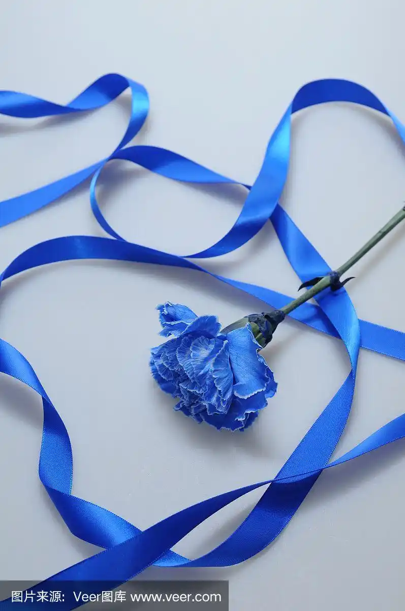 蓝色的丝带和蓝色的康乃馨.