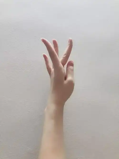 古典舞入门带你认识古典舞中的手型