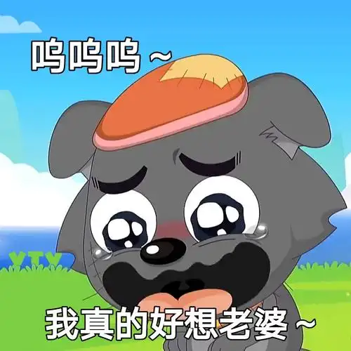 呜呜呜 我真的好想老婆