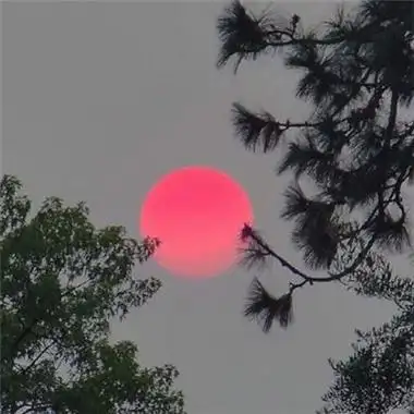 2018抖音流行图片头像风景 要像一个神经病一样活泼开朗