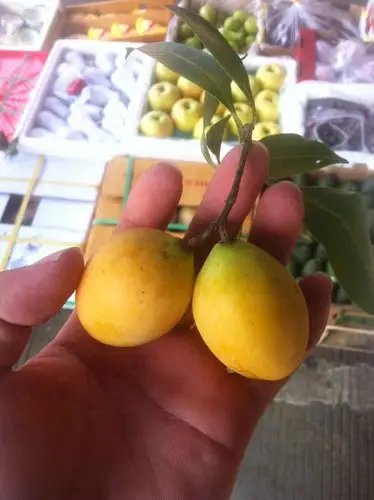 谁能告诉这是什么水果