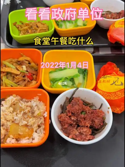 政府单位食堂午餐吃啥_午餐_武汉攻略_工作餐_新年去哪玩_单位食堂