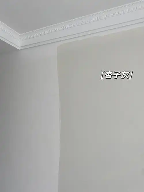 乳胶漆颜色我真的选了好久16615主卧选了杏子灰和飞沙走石两种