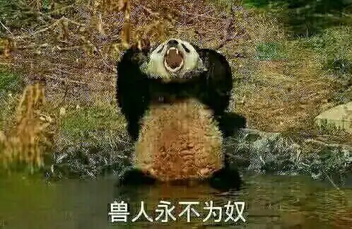 兽人永不为奴熊猫表情包_兽人_为奴表情