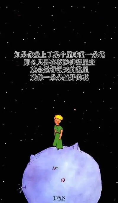 《小王子》小说语录星星发亮是为了让每一个人有一天都能找到属于自己