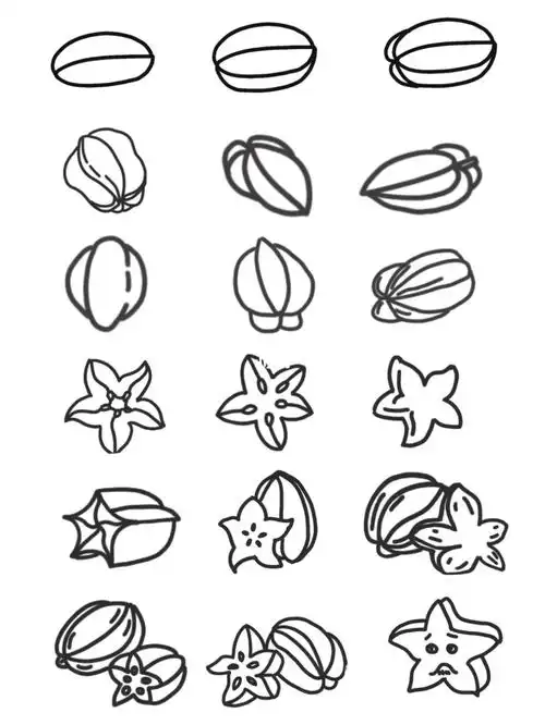 黑白简笔画-杨桃(carambola)