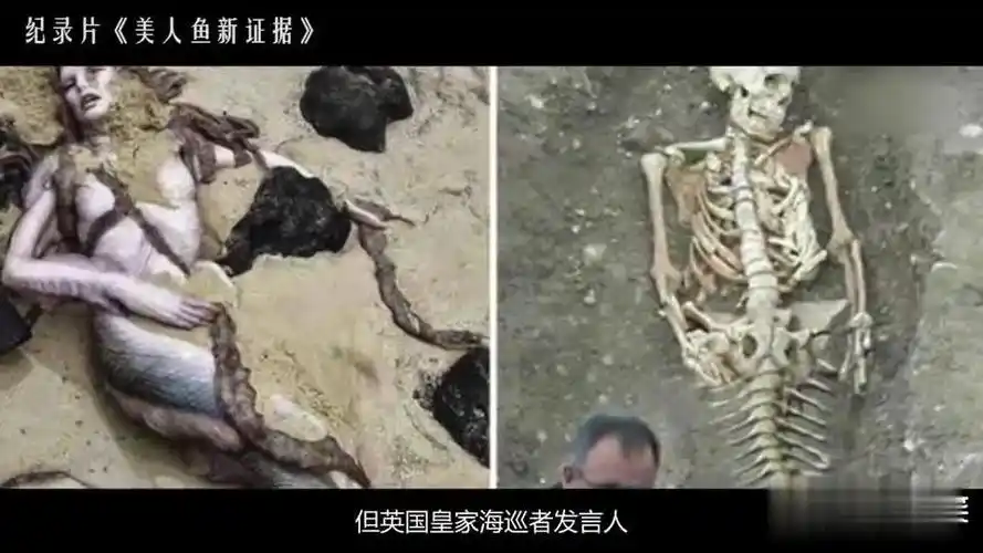 美人鱼的新证据