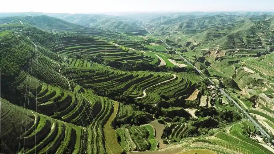 定西市安定区特色库