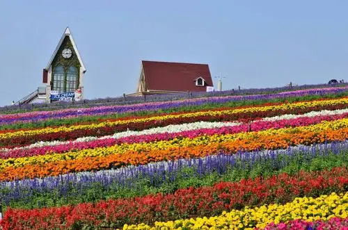 尖顶小屋如童话般的在耸立花海尽头